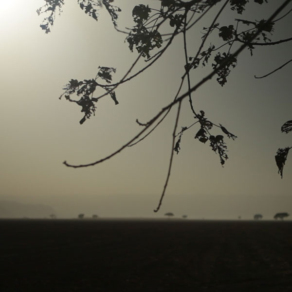 Kalamazoo woman who faced deportation to leave sanctuary for first time in 3 years