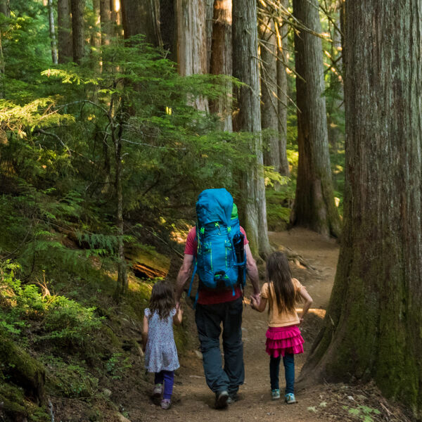 As part of the Year of the Bible, we hope you’ll enjoy our ninth devotional, focused on trusting God in the midst of life’s valleys.