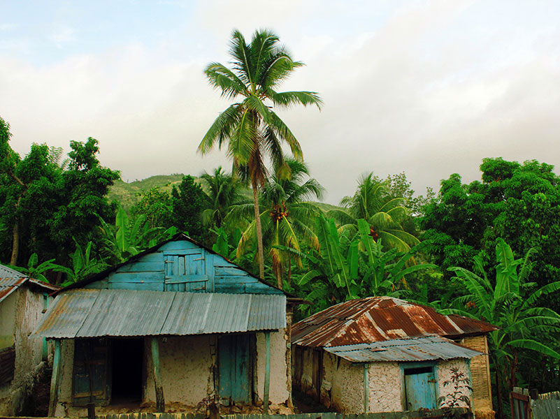two small Haitian huts framed by palm trees